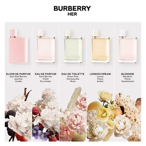 burberry her notes olfactives|Burberry Her smell like.